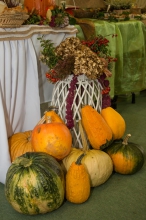 Festiwal - Smaki Jesieni - produkty z owoców jesieni - Żółkiewka - 15.10.2016 r.