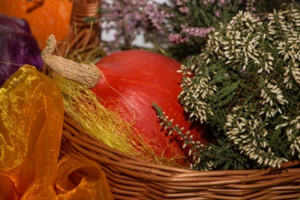 Festiwal - Smaki Jesieni - produkty z owoców jesieni - Żółkiewka - 15.10.2016 r.
