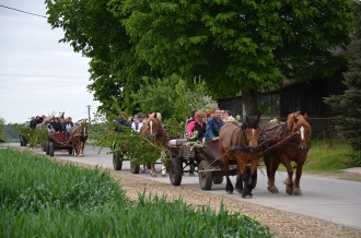 Z rodziną i plecakiem na spotkanie z tradycją - Zielone Świątki w gminie Łopiennik Górny - 24.05.2015 r