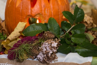 Festiwal - Smaki Jesieni - produkty z owoców jesieni - Żółkiewka - 15.10.2016 r.