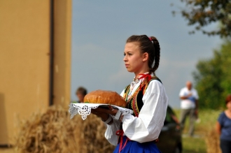 Festyn Żniwny w Wincentowie - 15.8.2014 r.