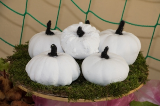 Festiwal - Smaki Jesieni - produkty z owoców jesieni - Żółkiewka - 15.10.2016 r.
