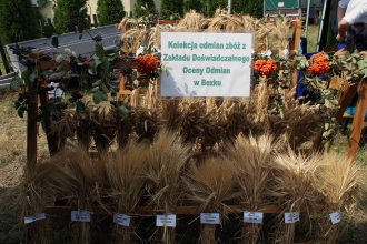 Dożynki Powiatowe w Rudniku - 27.08.2017