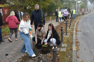 Nasadźmy Drzewa w Krasnymstawie 25.10-4.11.2024 r. 