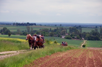 Z rodziną i plecakiem na spotkanie z tradycją - Zielone Świątki w gminie Łopiennik Górny - 24.05.2015 r