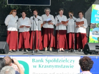 Piknik Rodzinny w Siennicy Różanej 28.06.2015 r.