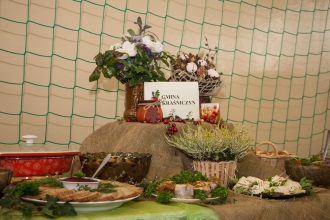 Festiwal - Smaki Jesieni - produkty z owoców jesieni - Żółkiewka - 15.10.2016 r.